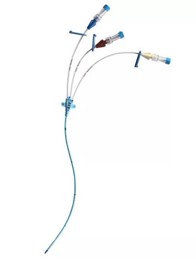 اثر بخشی کاتترهای ورید مرکزی آغشته به کلرهگزیدین و سیلورسولفادیازین علیه قارچ مقاوم Candida auris